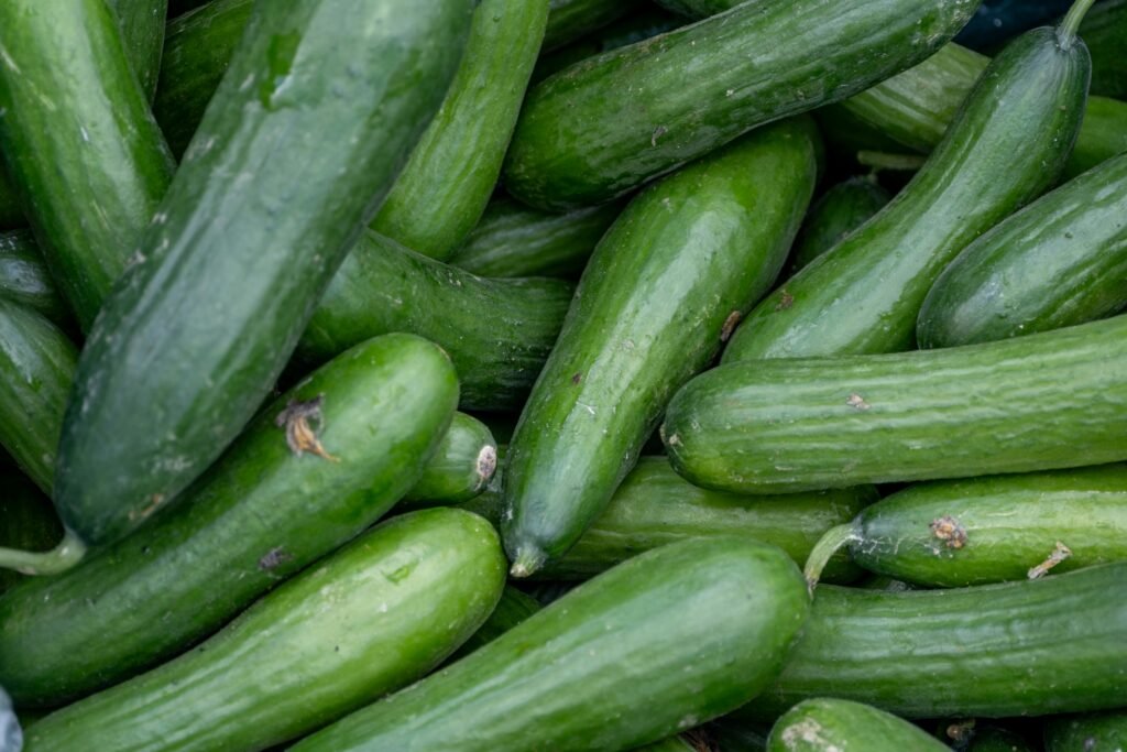 A vibrant pile of fresh green cucumbers stacked at a farmers market stall.
