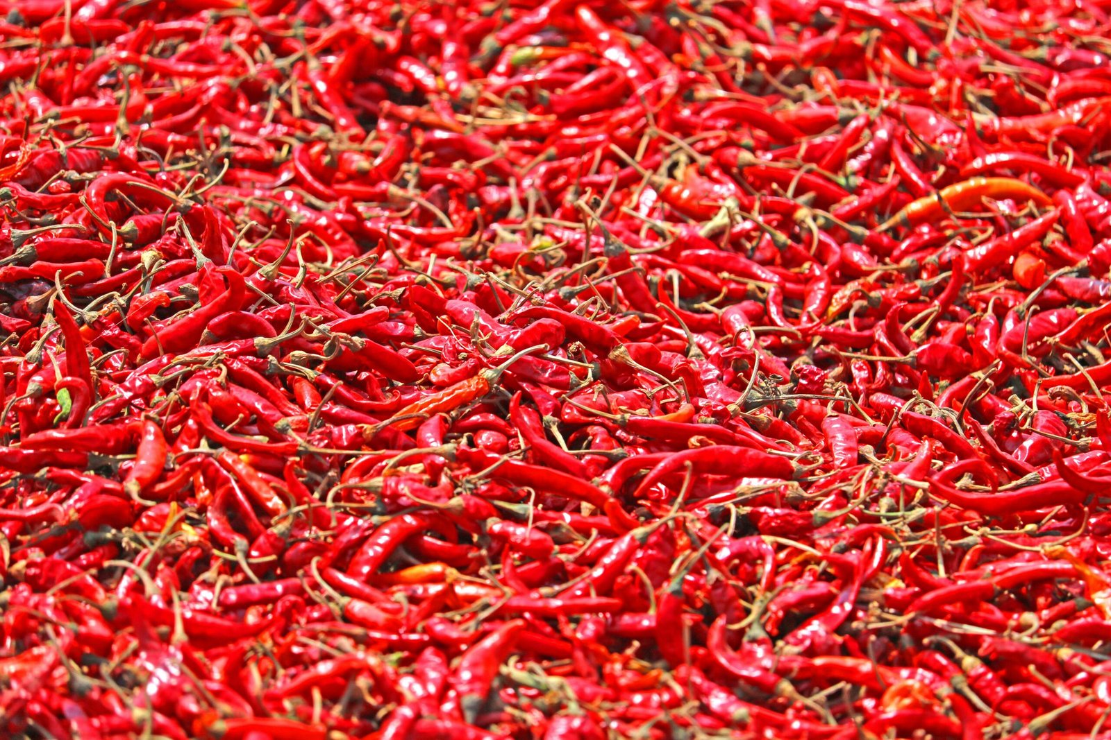 Pexels Photo 7094360 7094360 Scaled