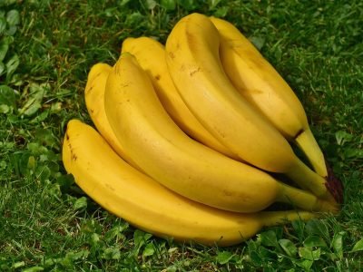 bananas, fruit, healthy, yellow, banana peel, ripe, nature, fresh, close up