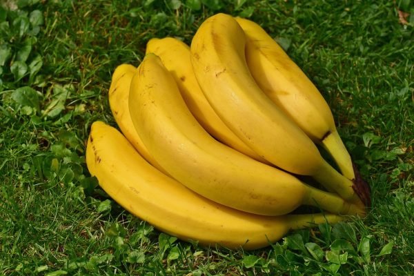 bananas, fruit, healthy, yellow, banana peel, ripe, nature, fresh, close up