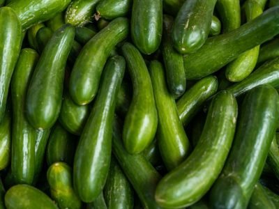 A vibrant collection of organic cucumbers showcasing freshness and abundance at a market.