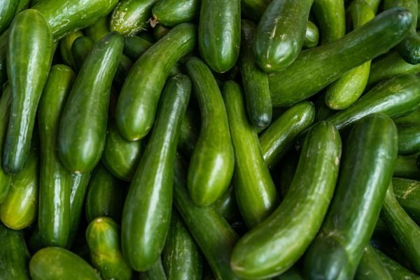 A vibrant collection of organic cucumbers showcasing freshness and abundance at a market.