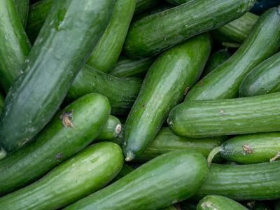 A vibrant pile of fresh green cucumbers stacked at a farmers market stall.