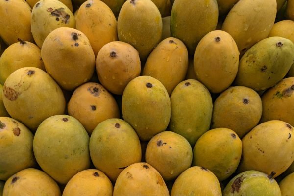 A vibrant display of ripe mangoes stacked at a market, highlighting freshness and abundance.